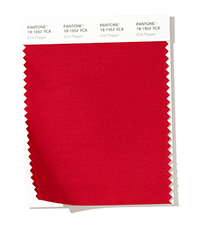 PANTONE 19-1557.jpg